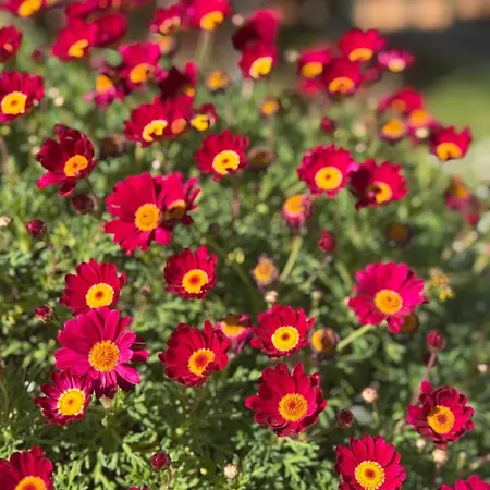 Hero's Garden Relais 4* 로마